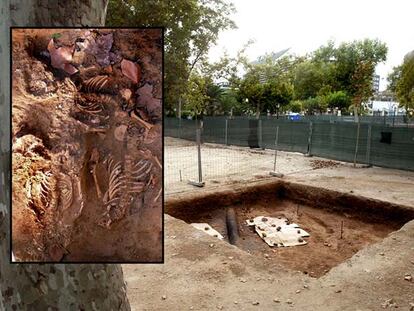 Restos humanos encontrados en las excavaciones de las obras del TRAM.