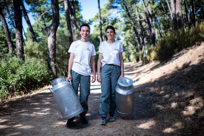 Campo a traves heladeria