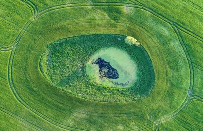 Un estanque en medio del campo cerca de Petersdorf (Alemania).