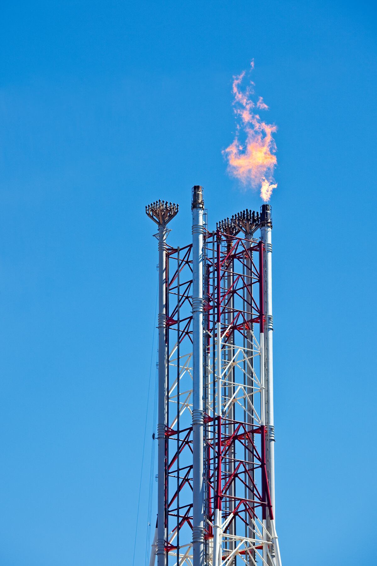 ALICE Partners with Andrade Gutierrez to Optimize Industrial Construction, image size:1200x1800