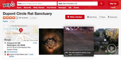 El santuario de roedores valorado en Yelp.