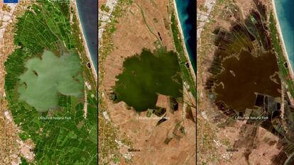 Imágenes del cambio de color del agua de la Albufera captadas por el satélite europeo Copernicus el 3 de agosto, el 12 de octubre y el 26 de noviembre y recogidas por À Punt.