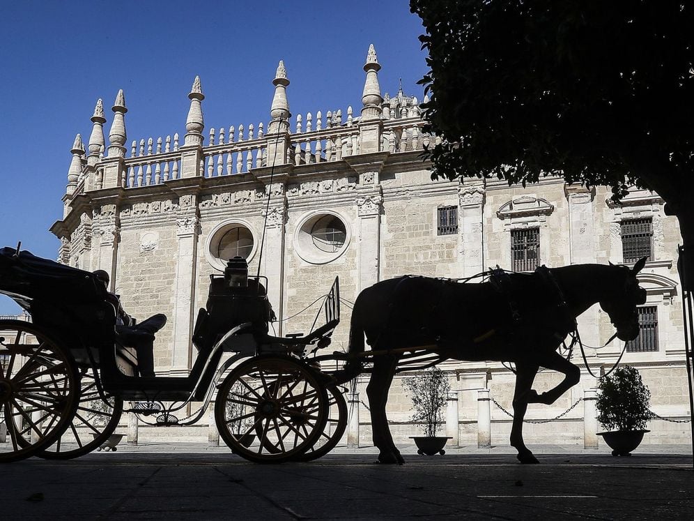 Málaga quiere acabar con los coches de caballos este año