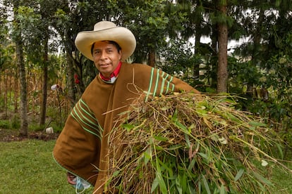 Pedro Castillo