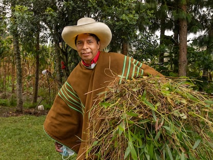 Pedro Castillo