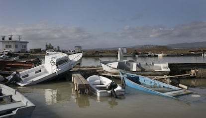 Consecuencias de la borrasca Gloria en el Delta del Ebro.  