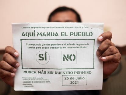 Un vecino sostiene una de las papeletas de la consulta popular para votar a favor o en contra de una macrogranja de cerdos en Yucatán. El derecho a la libre autodeterminación del pueblo maya está reconocido en el artículo 7 bis de la Constitución Política del Estado de Yucatán.