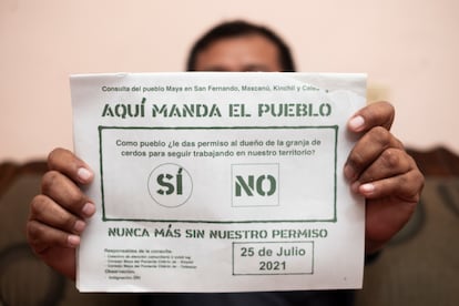 Un vecino sostiene una de las papeletas de la consulta popular para votar a favor o en contra de una macrogranja de cerdos en Yucatán. El derecho a la libre autodeterminación del pueblo maya está reconocido en el artículo 7 bis de la Constitución Política del Estado de Yucatán.