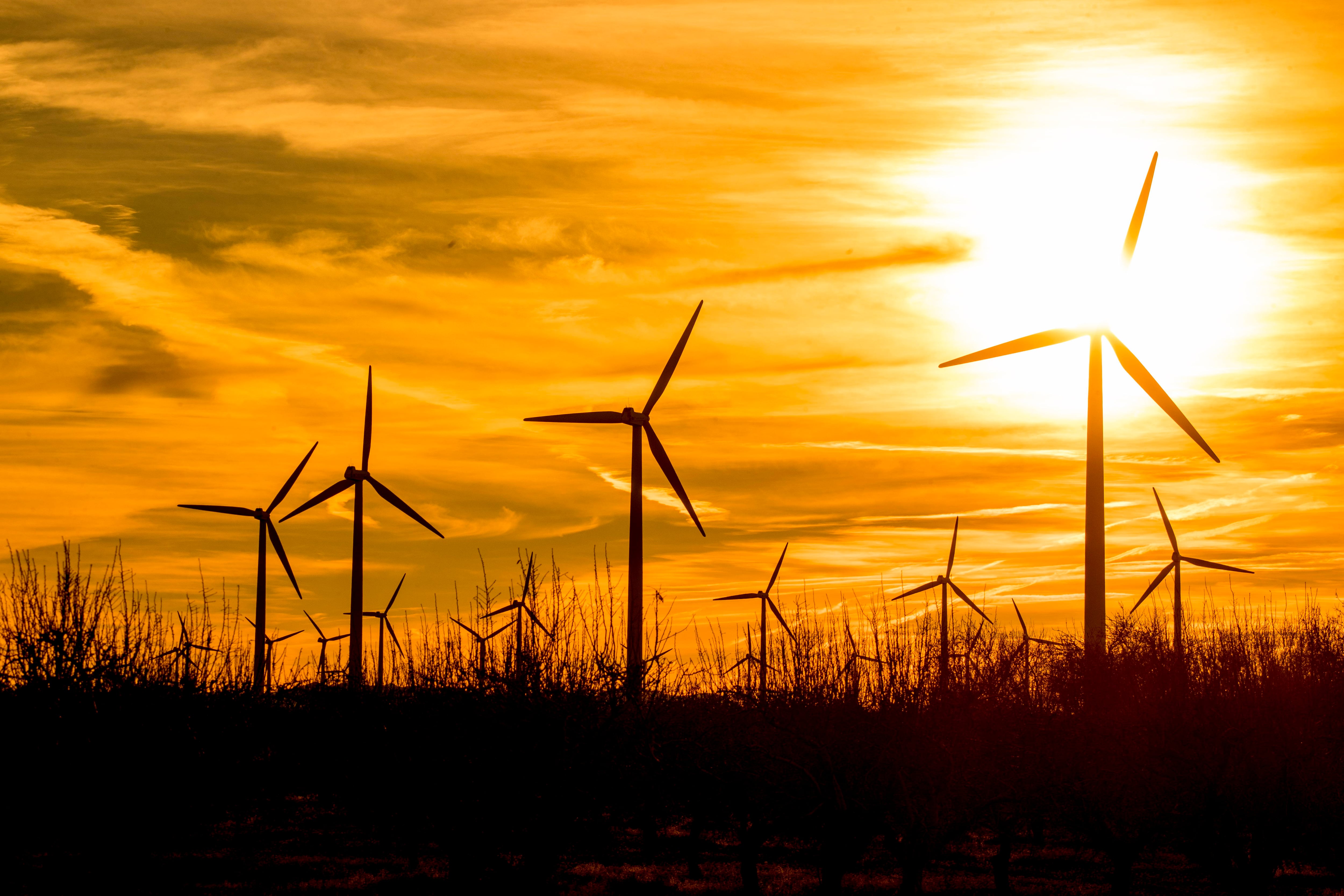 El fin del verano y el regreso del viento llevan de nuevo el precio de la luz a cero en días de diario