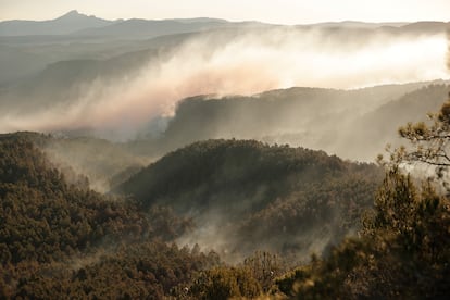 Columnas de humo provocadas por el incendio a primera hora de este sábado en Villanueva de Viver (Castellón), cerca de la aldea de los Peiros (Teruel). 