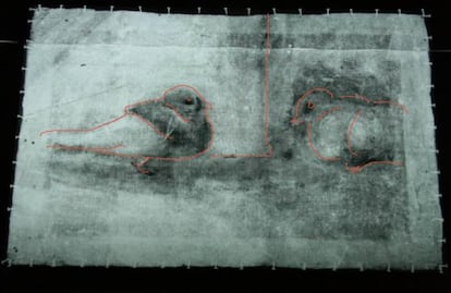 Detalles perfilados de las dos palomas que han aparecido en un nivel inferior de la pintura 'Hombre con boina' durante la radiografía.