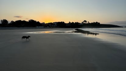 Playa de Canelas al anochecer.