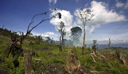 Una zona devastada del Parque natural de Virunga, en Kibati (República Democrática del Congo).