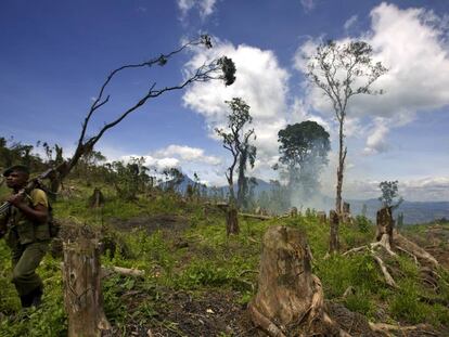 Una zona devastada del Parque natural de Virunga, en Kibati (República Democrática del Congo).