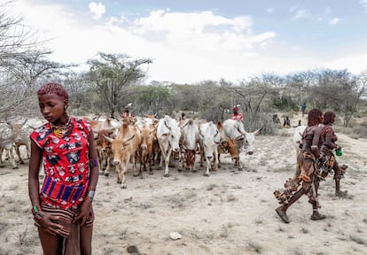 Las mujeres de la tribu Hammer se preparan para la celebración de la ceremonia del salto del toro, un ritual que marca el paso a la edad adulta, en el pueblo de Turmi, al sur de Etiopía. En la ceremonia, el pequeño debe saltar por encima de siete toros para convertirse en un adulto.