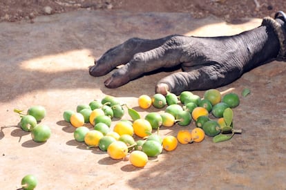 Las frutas son clasificadas por la abuela. La situación es desesperada en algunas zonas de Kenia: 2,7 millones de personas necesitan ayuda de forma inmediata en el país, incluidos 700.000 niños menores de 5 años, que se enfrentan a la hambruna.