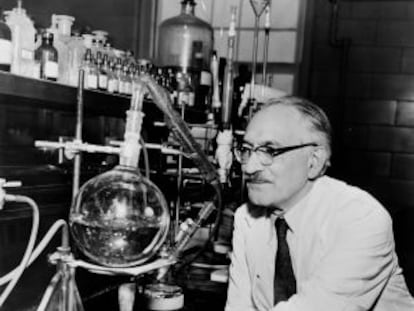 Selman Waksman, fotografiado en su laboratorio en 1953.