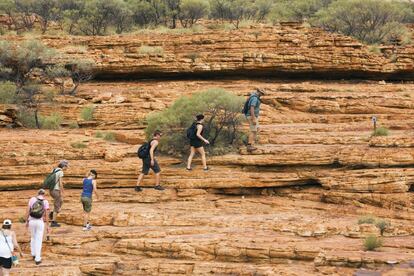 El desfiladero de King’s Canyon, en Australia, mide apenas un kilómetro de largo pero se abre entre unas empinadas paredes de 100 metros de altura que cortan como un tajo el rojizo paisaje desértico de una prominente meseta de roca arenisca situada al norte del país.