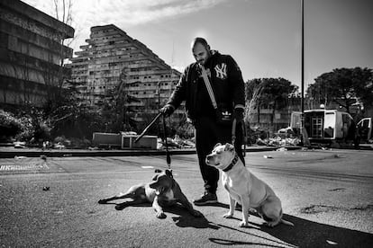 Pero el territorio también ha cambiado. Hoy la guerra de clanes ya no está en barrios periféricos como Secondigliano, Scampia o El tercer mundo. En la imagen, un vecino del barrio de la Scampia con sus perros.