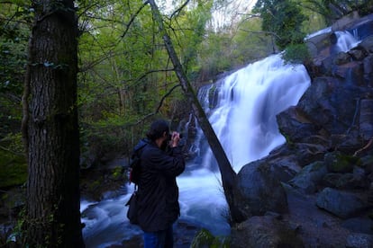 Se trata de uno de los saltos de agua más impresionantes del valle del Jerte, y a la vez poco conocida. Se encuentra muy cerca del pueblo de Navaconcejo y recibe su nombre por la cantidad de nogales que crecen en sus orillas. El sonido del agua al chocar contra la roca antecede al visitante, que al plantarse ante ella contempla una pared de granito, casi vertical, sobre la que rompen las aguas cristalinas formando una espuma blanca. Llegar hasta la cascada, paseando entre cerezos que tiñen el paisaje de blanco es sencillo y accesible para todo el mundo. El camino está señalizado y cuenta con aparcamiento. Otra garganta accesible y muy atractiva es la del Caozo, en Valdastillas.