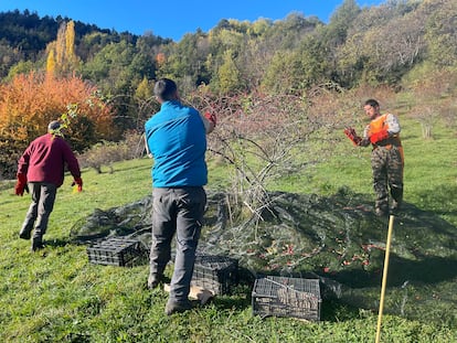 Proyecto Plantas Olvidadas