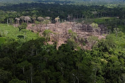 Deforestación en la Amazonia brasileña
