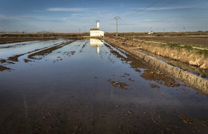 Los motores de los arrozales situados en el entorno de la laguna de l´Albufera son los encargados de bombear el agua de los arrozales a los canales, dado que éstos se encuentran por debajo de la cota de agua de la laguna. El ritmo al que trabajan los motores determina la velocidad a la que los arrozales se secan y el uso que pueden hacer las aves acuáticas de éstos.