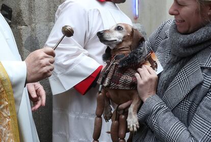 Dentro del templo, abierto las 24 horas del día, se han estado realizando misas cada hora y las mascotas también ha escuchado las eucaristías dedicadas a ellos; "las mascotas son la felicidad de la casa", ha afirmado el cura.