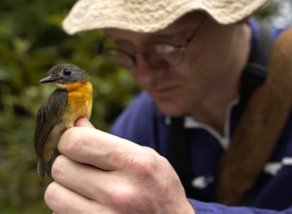El ornitólogo Brian Schmidt muestra la pequeña ave descubierta en los bosques de Gabón