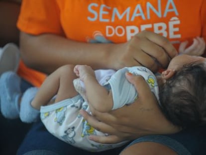 Com grande incidência de zika vírus, Bahia levanta preocupação