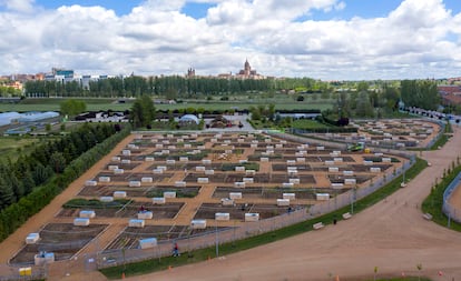 Huertos urbanos en la ribera del río Tormes en Salamanca.