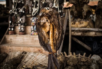 El cadáver de un buitre ensartado en un palo. Es importante que los animales empleados en estos rituales hayan muerto de forma natural; no está permitido matarlos para estos fines. Los cazadores que se adentran en los bosques para buscarlos deben recoger solo los cadáveres que encuentren.