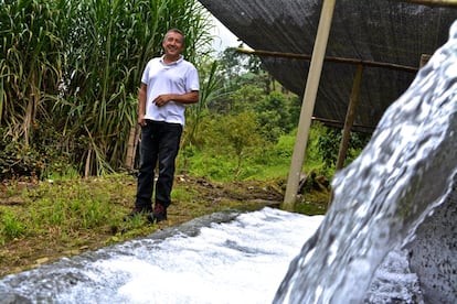 Edgar Dávila es propietario de un criadero de truchas en el corregimiento —algo parecido a un municipio, aunque menor— de la Magdalena (Valle del Cauca, Colombia). Es un lugar ideal para esta labor por la cantidad de agua que aportan los numerosos arroyos que van a parar a los afluentes del río Cauca y la temperatura fresca que le otorga la altura. 
