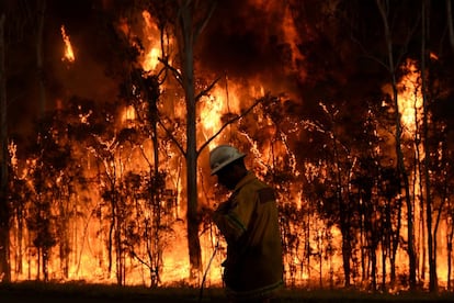 Bomberos luchan contra un incendio forestal en Medowie, cerca de Port Stephens (Australia).