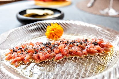 Atún rojo de almadraba Gadira en tataki con aceite de oliva virgen extra 100% arbequina. 