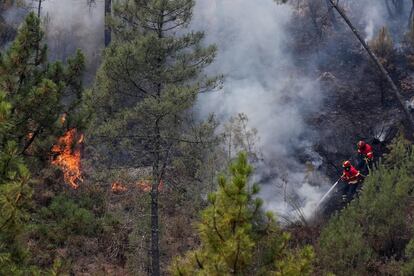 Bomberos luchan contra el fuego en los alrededores de la localidad de Sarnada, cerca de Maçao. 