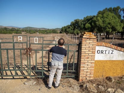 Vista del rancho Ortiz, en Medina Sidonia (Cádiz), donde fue recogido el helicóptero.