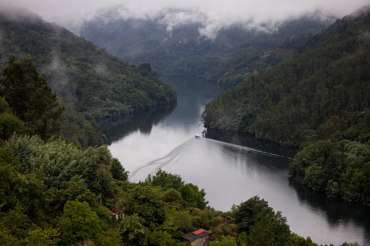 Todos los mandamientos de la Ribeira Sacra