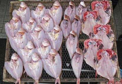 Barraca do mercado de peixes na cidade japonesa de Numazu.