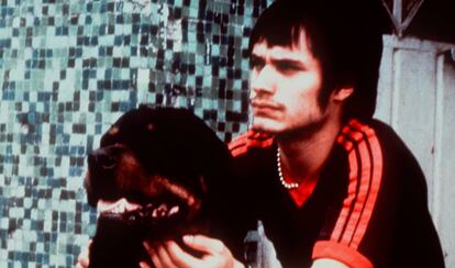 Amores perros