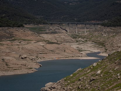 Pantano seco de Rialb