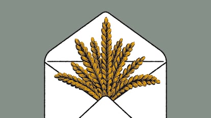 Cosecha electoral en Castilla y León