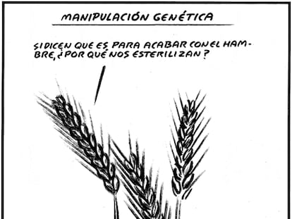 EL ROTO