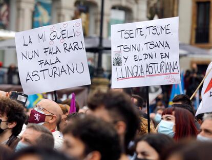 Pancartas en asturiano en una manifestación a favor la oficialidad de la lengua el pasado 16 de octubre en Oviedo.