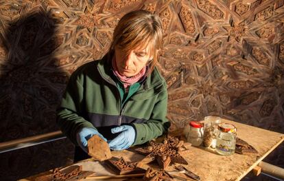 Gracias a estos trabajos han salido a la luz no solo dibujos vegetales, formas geométricas, siluetas de animales y trazados ornamentales también símbolos inusuales a la época, como la cabeza de un perro.