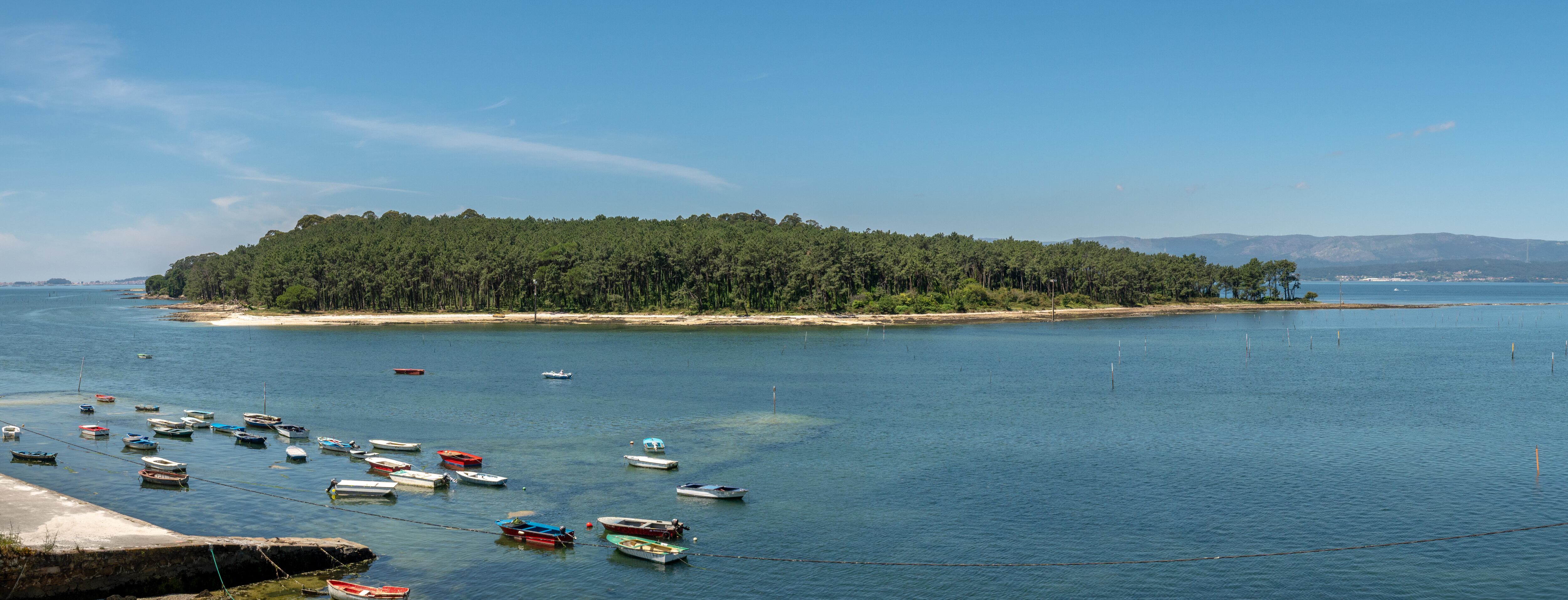 Vista de la isla de Cortegada (Pontevedra).
