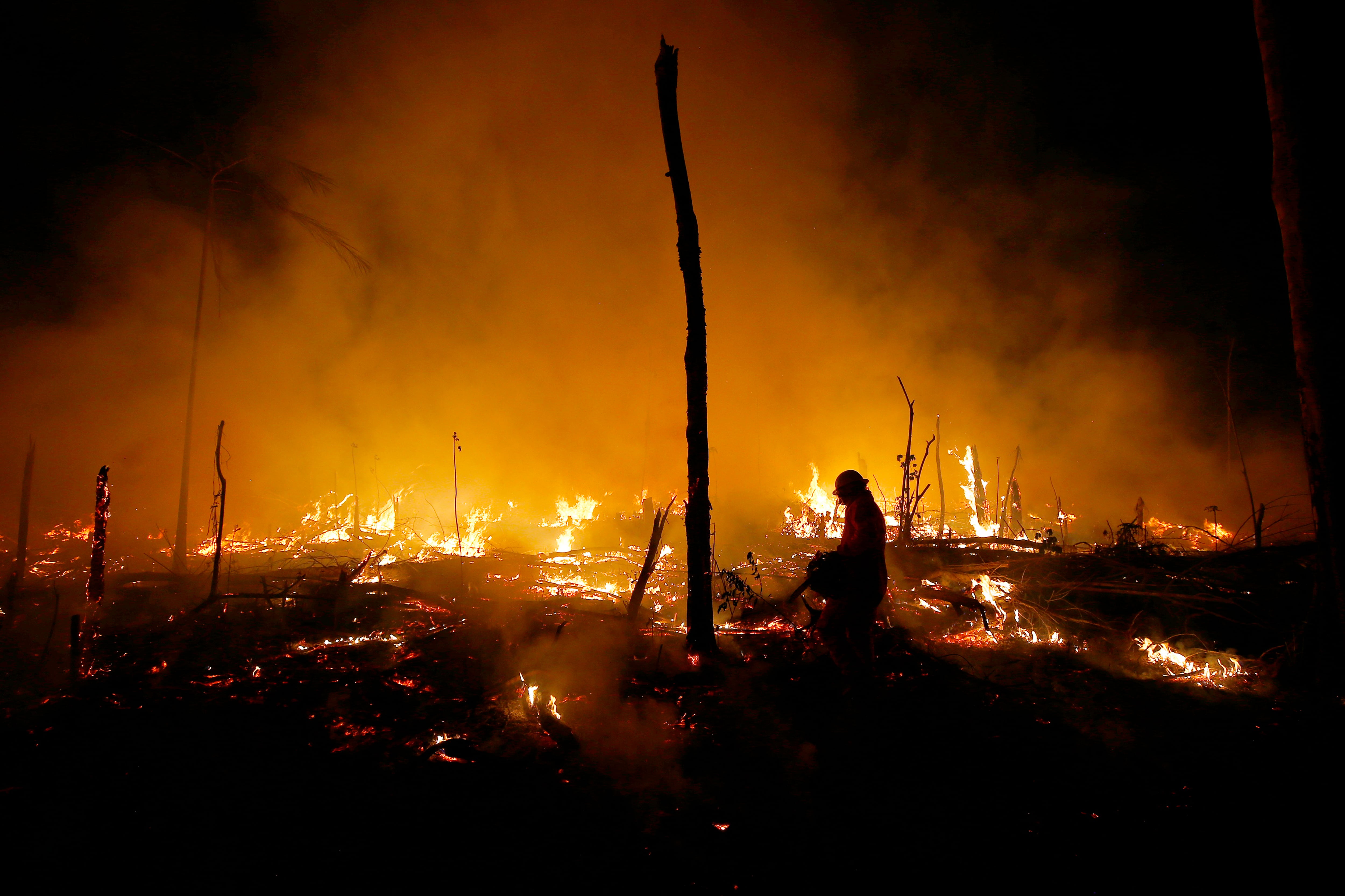 La Amazonia sufre para defenderse