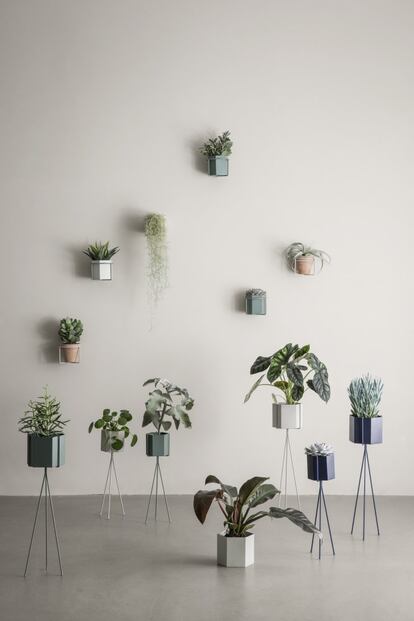 <p>Desde Copenhague vienen estos maceteros, para interior o exterior, que la firma <a href="https://www.fermliving.com/" target="_blank">Ferm Living</a> ha llamado Hexagon Pots. Están realizados en metal, con un fino acabado y presentados en diferentes tamaños y colores. Además, también ha creado sus soportes, los Plant Stand, de pared o de suelo. El tipo de planta que se introduzca dentro corre a cargo del cliente. <strong>Precio:</strong> Maceteros, desde 36€; soportes, desde 30€.</p>