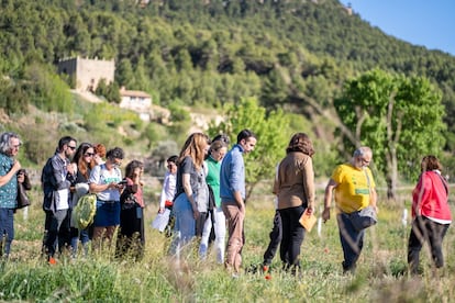 Participantes en las jornadas 'El vino que sostiene el paisaje', en un paseo botánico por los alrededores de la Torre del Visco, el lunes, en una imagen cedida por la organización.