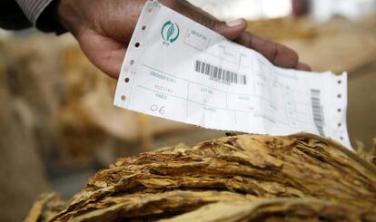 El precio del tabaco ha caído 3,17 euros esta semana con respecto al inicio de la temporada pasada en Zimbaue. Este país es el principal exportador de tabaco del continente africano.